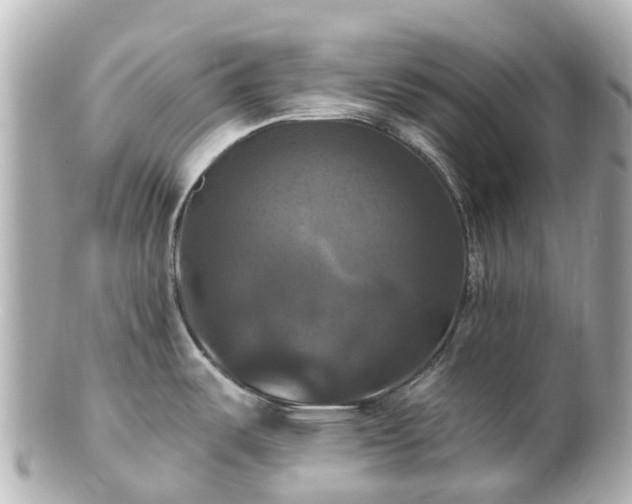 X0000100921487200807011255