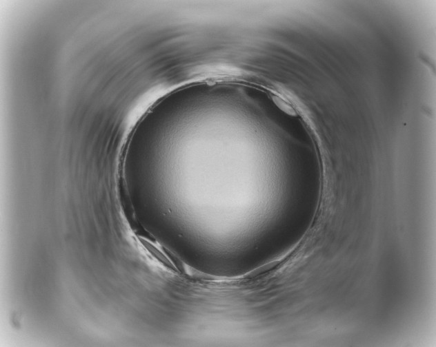 X0000100921488200807011255