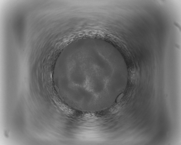 X0000100921489200807011254