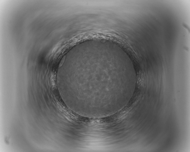 X0000100921490200807011254