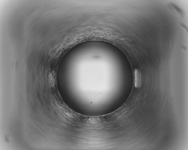 X0000100921491200807011254