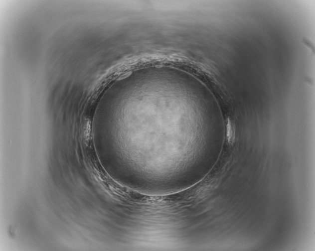 X0000100921492200807011254