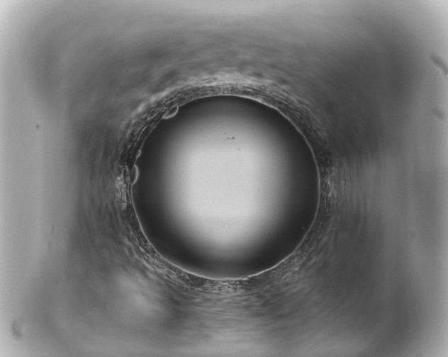 X0000100921493200807011254