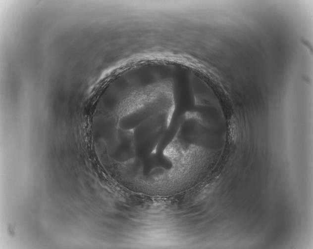 X0000100921494200807011254