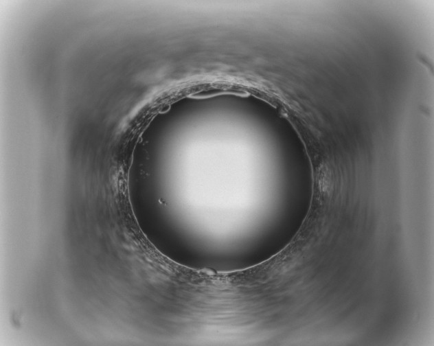 X0000100921495200807011254