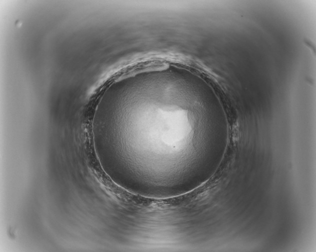 X0000100921496200807011254