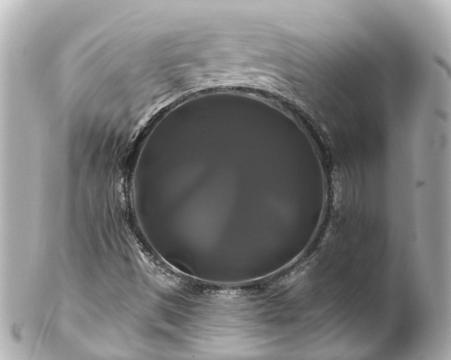 X0000100921497200807011254