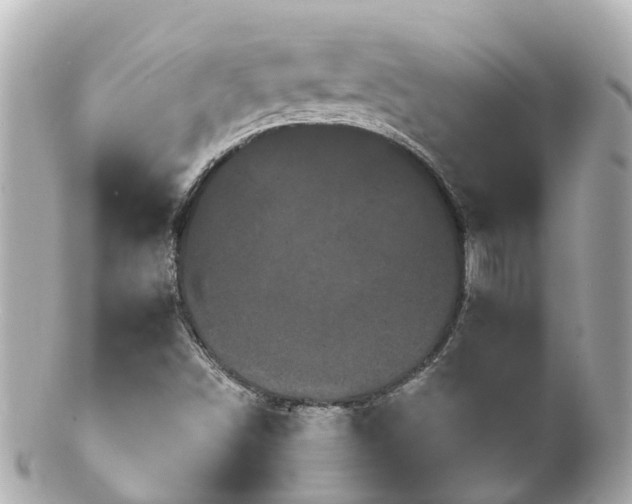 X0000100921498200807011254