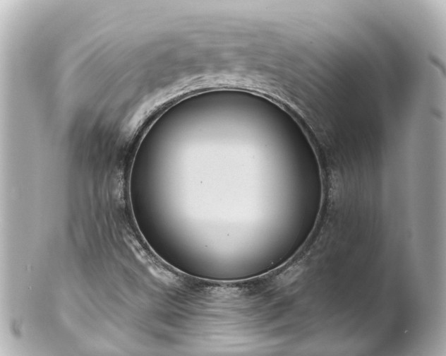 X0000100921499200807011254