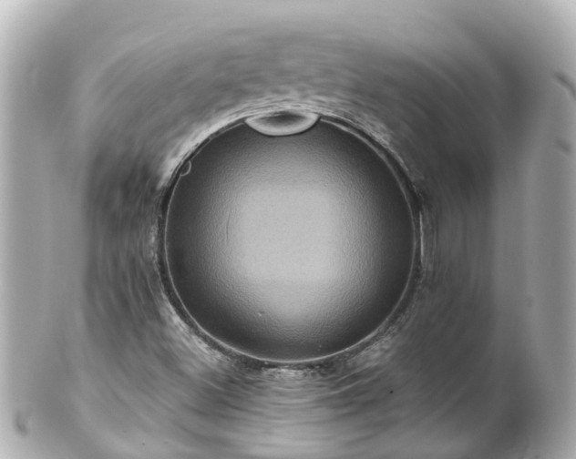 X0000100921500200807011254