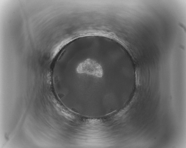 X0000100921501200807011254