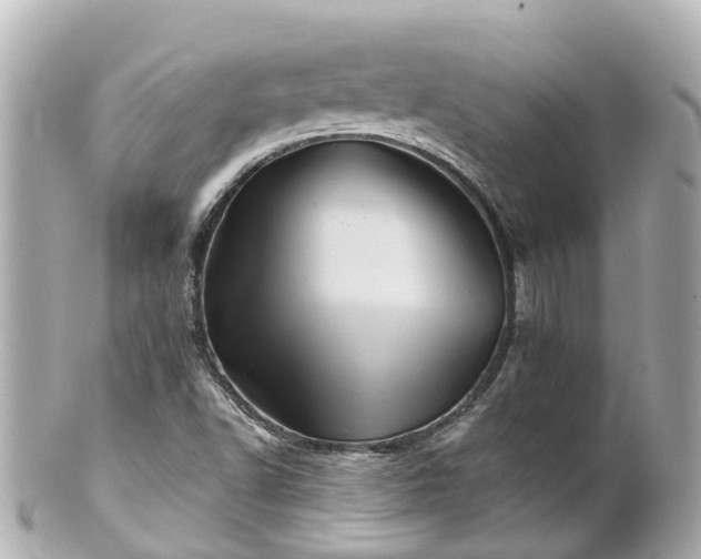 X0000100921502200807011254