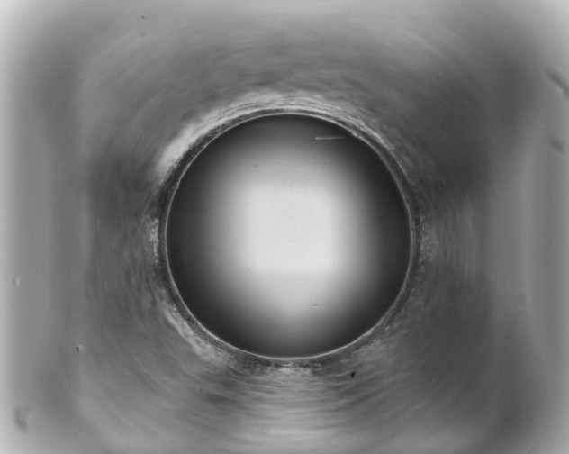 X0000100921503200807011254