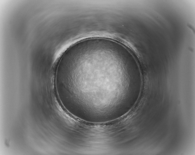 X0000100921504200807011254