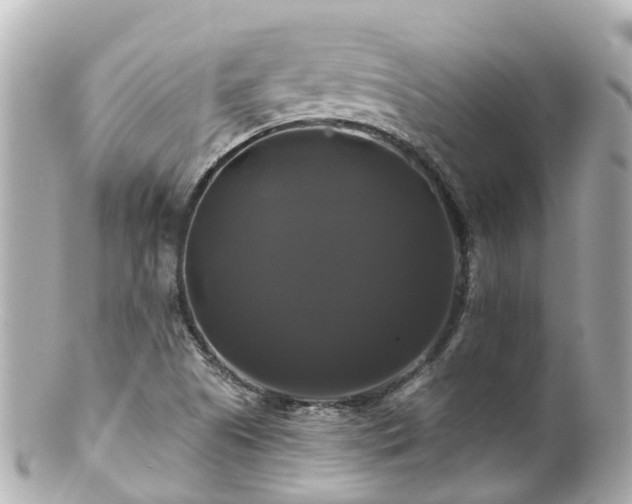 X0000100921505200807011254