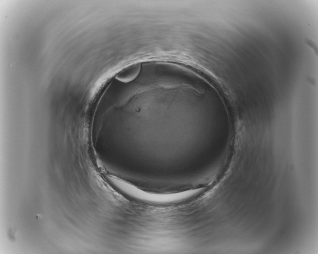 X0000100921506200807011254