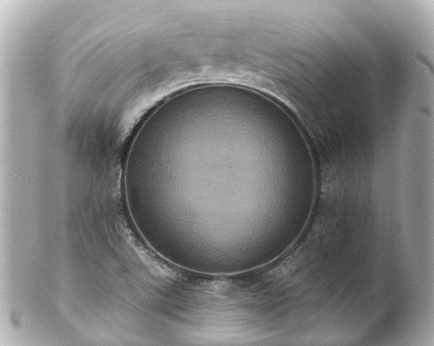 X0000100921507200807011254