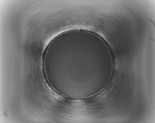 X0000100921508200807011254