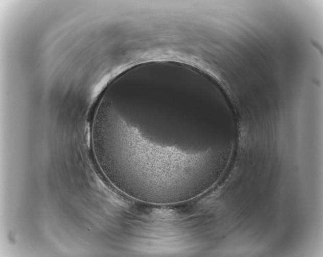 X0000100921509200807011254