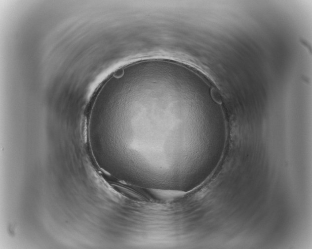 X0000100921510200807011254