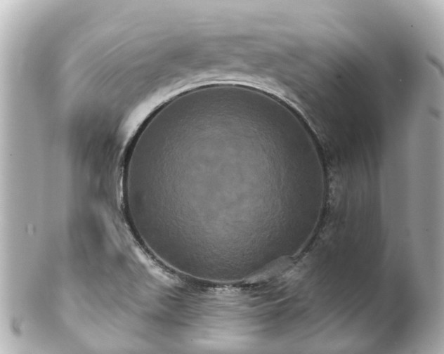 X0000100921511200807011254