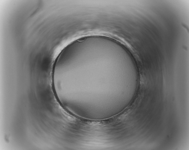 X0000100921512200807011254