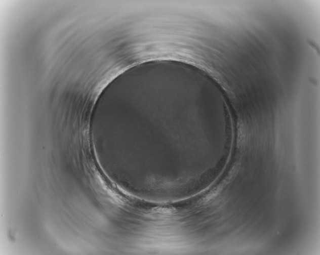 X0000100921513200807011254