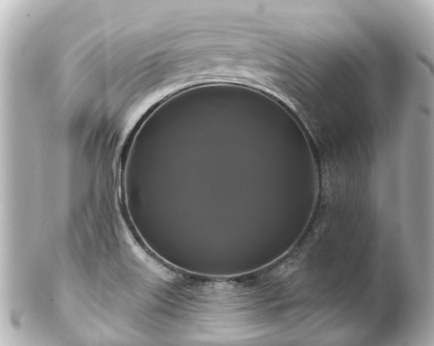 X0000100921515200807011255