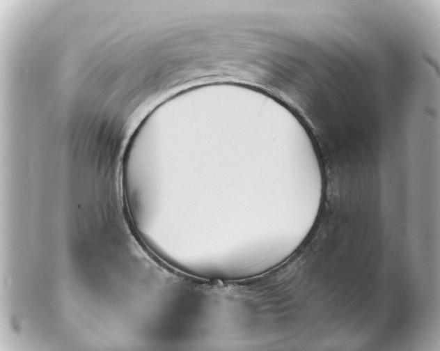 X0000100921516200807011255