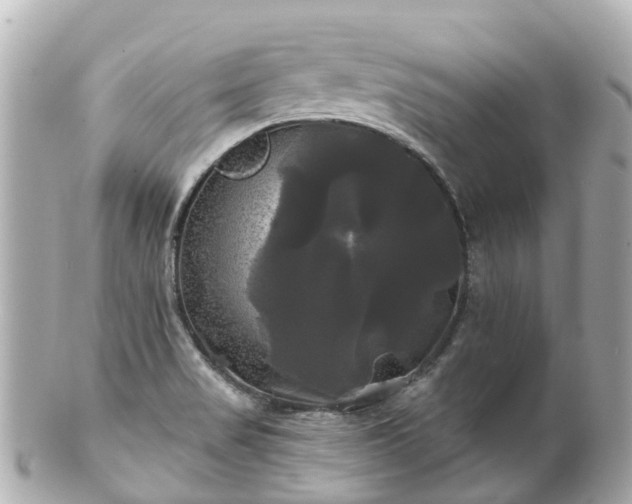 X0000100921517200807011255