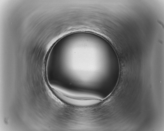 X0000100921518200807011255