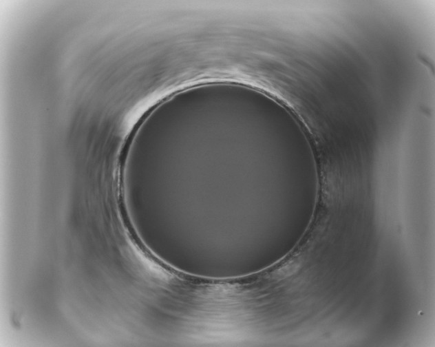 X0000100921519200807011255