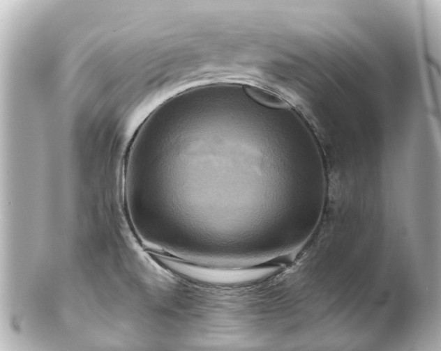 X0000100921520200807011255