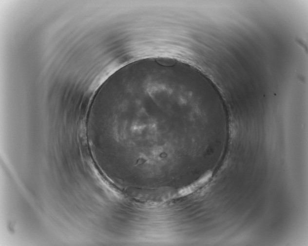 X0000100921521200807011255