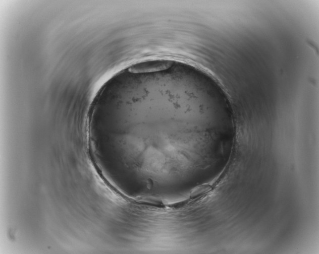 X0000100921522200807011255