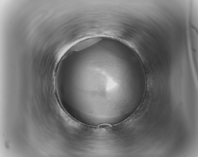 X0000100921524200807011255