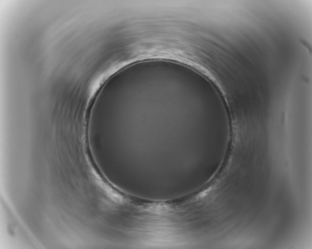 X0000100921525200807011255