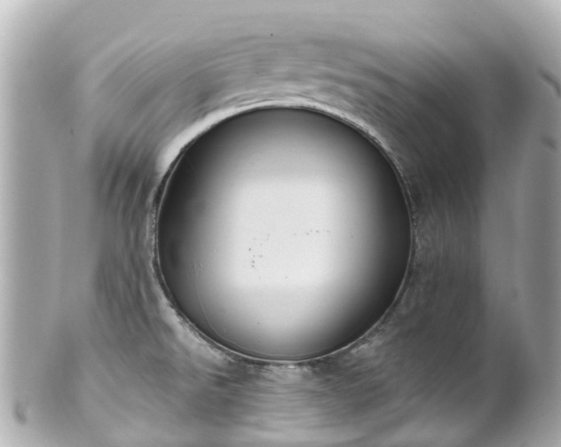 X0000100921526200807011255