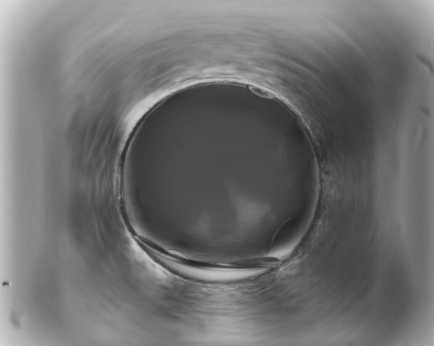 X0000100921527200807011255