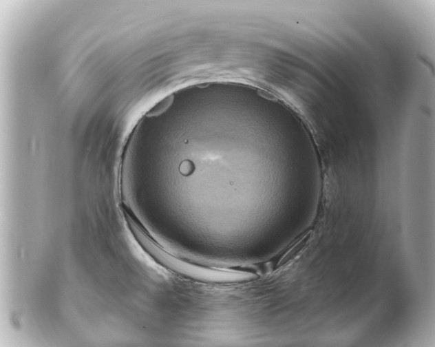 X0000100921528200807011255