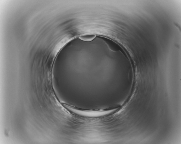 X0000100921529200807011255