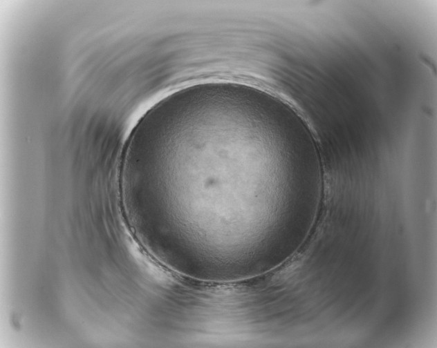 X0000100921530200807011255