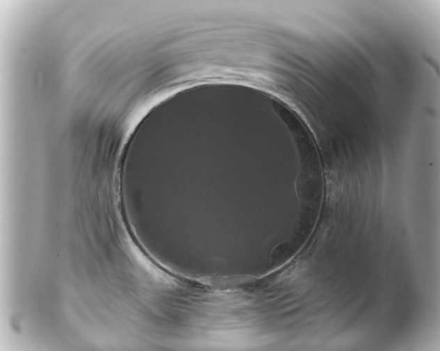 X0000100921531200807011255