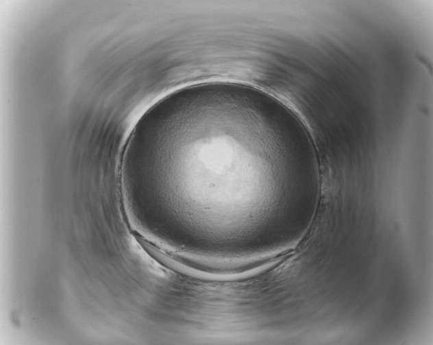 X0000100921532200807011255