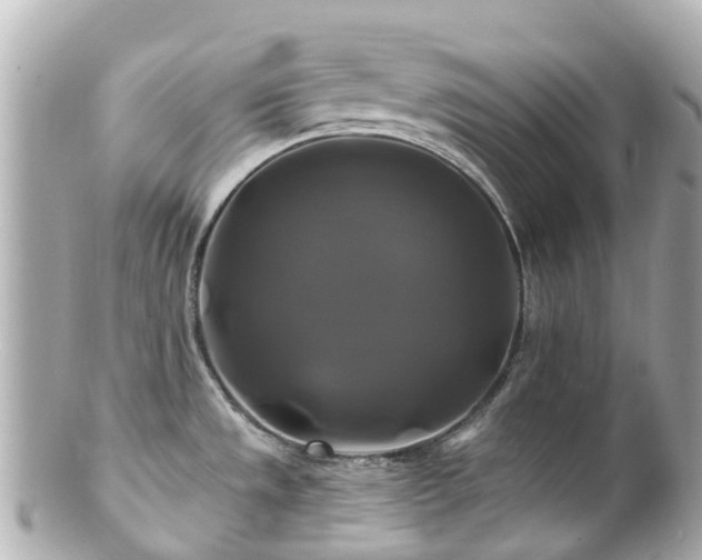 X0000100921533200807011255