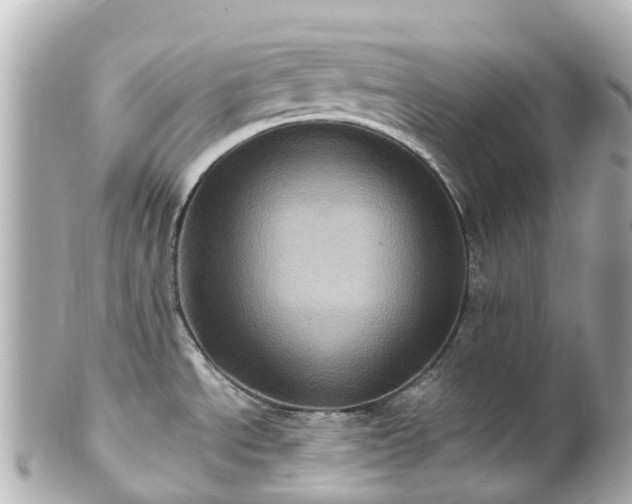 X0000100921534200807011255