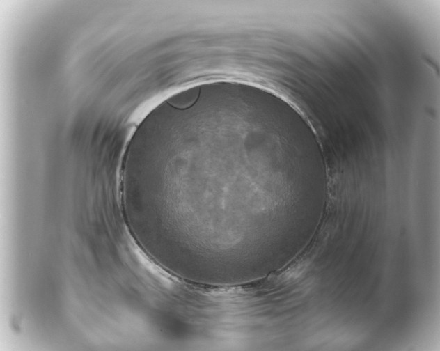 X0000100921535200807011255