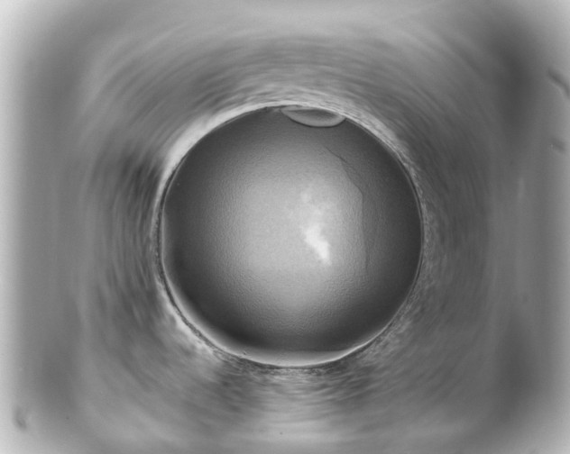 X0000100921536200807011255