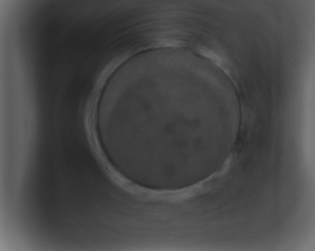 X0000100920001200807081201