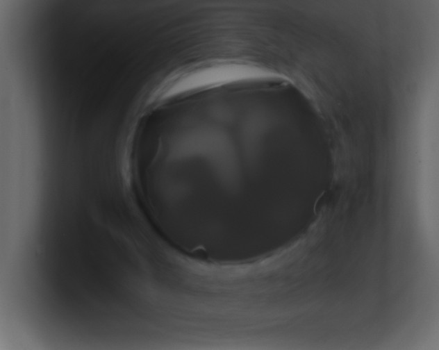 X0000100920002200807081201